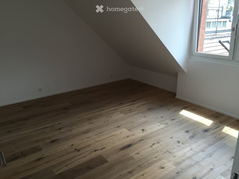 Moderne 2.5-Zimmer-Dachwohnung mit Bergblick an der Brünigstrasse in Luzern (4)