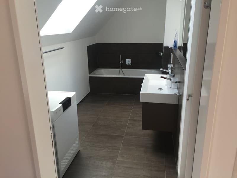 Moderne 2.5-Zimmer-Dachwohnung mit Bergblick an der Brünigstrasse in Luzern (6)