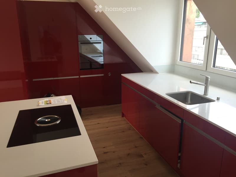 Moderne 2.5-Zimmer-Dachwohnung mit Bergblick an der Brünigstrasse in Luzern (8)