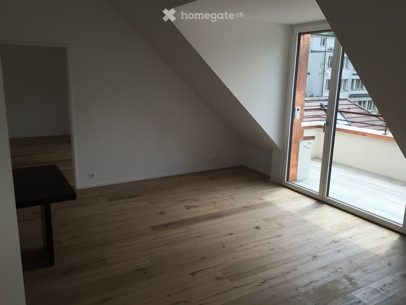 Moderne 2.5-Zimmer-Dachwohnung mit Bergblick an der Brünigstrasse in Luzern (1)