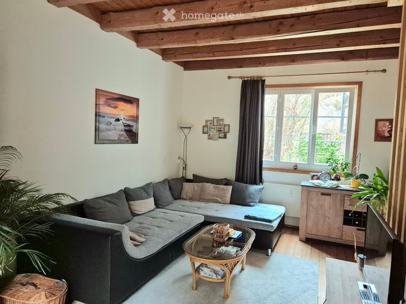 L-shaped sofa, coffee table, floor lamp, window with curtains, wooden ceiling, picture frames, plants, rug, wooden cabinet, TV