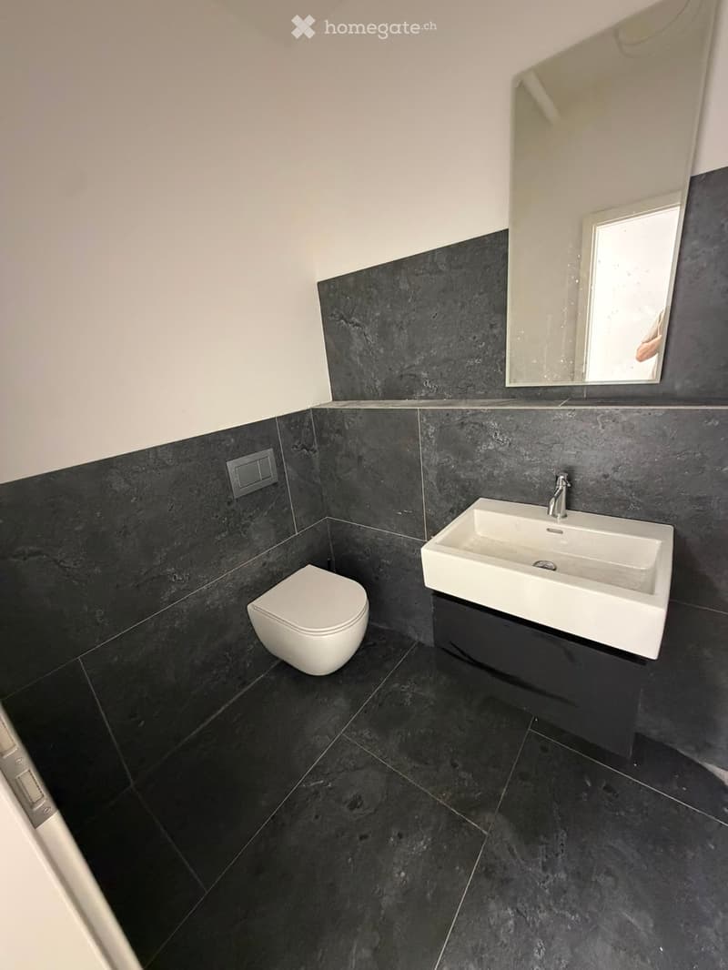 Modern bathroom with black marble tiles, white toilet, white sink, and a mirror above the sink.