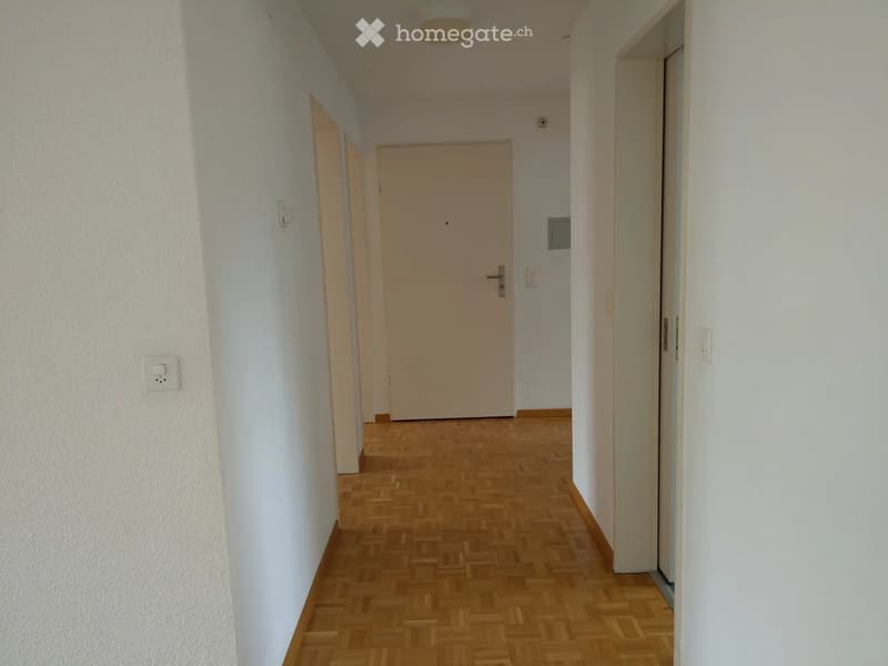 Empty hallway with wooden flooring, white walls, and several closed doors.
