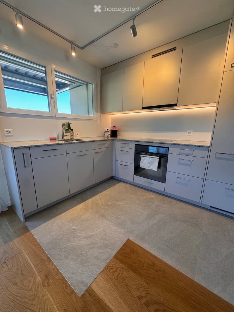 Modern kitchen with light grey cabinets, granite countertop, and built-in oven. Features a large window, wooden flooring, and sleek lighting fixtures.