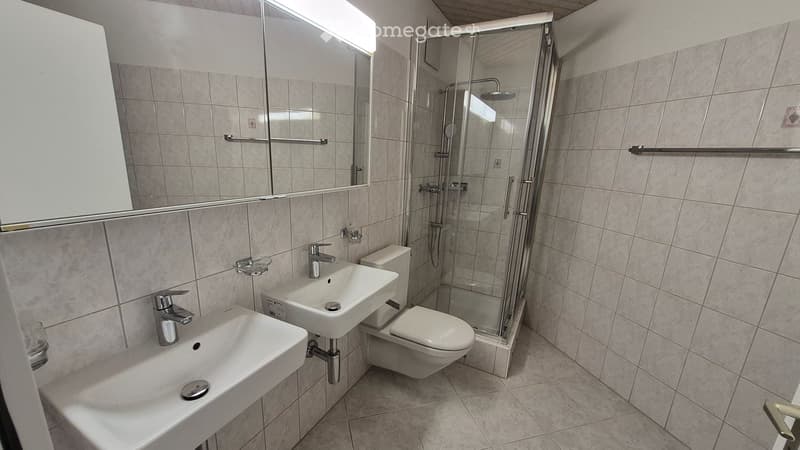 Modern bathroom with two sinks, a toilet, a glass-enclosed shower, and a large mirror above the sinks.