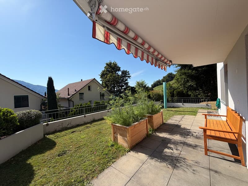 A sunny outdoor area with a wooden bench, potted plants, and a view of neighboring houses and greenery.