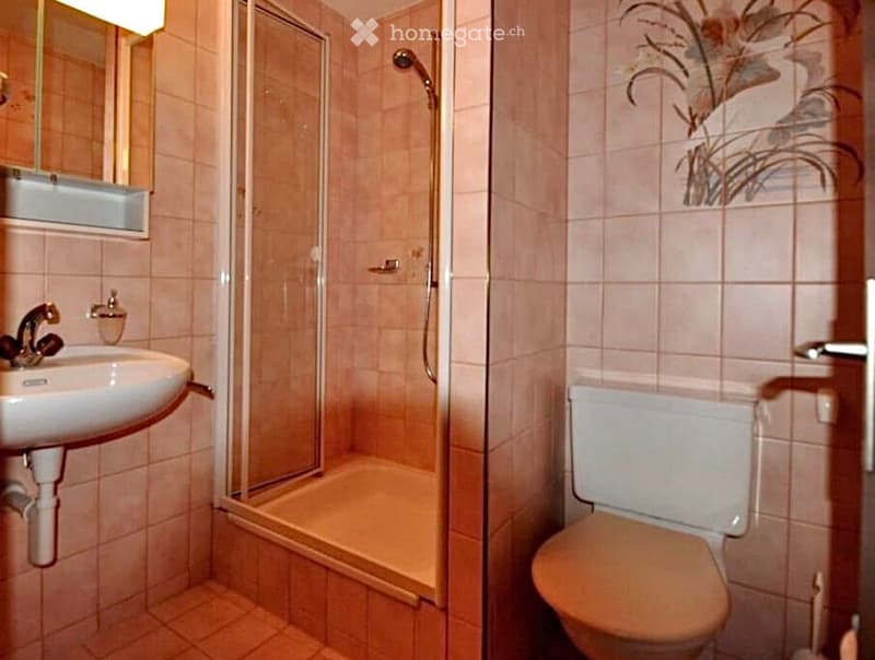 A small bathroom with a sink, toilet, and a walk-in shower. The walls are tiled in a light pink color, and there is a decorative plant design on one wall.