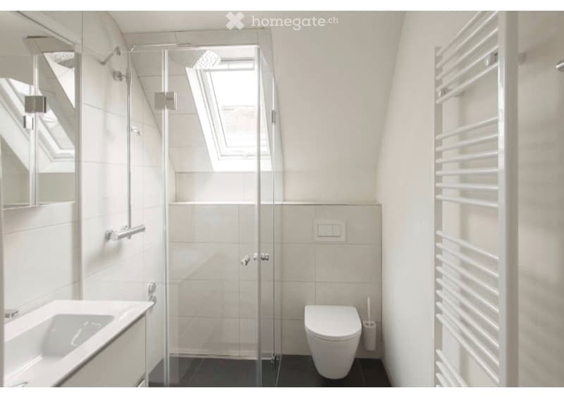Modern bathroom with white tiles, a glass-enclosed shower, a toilet, a sink, and a white radiator. The shower has a skylight above it, and the walls are adorned with mirrors.