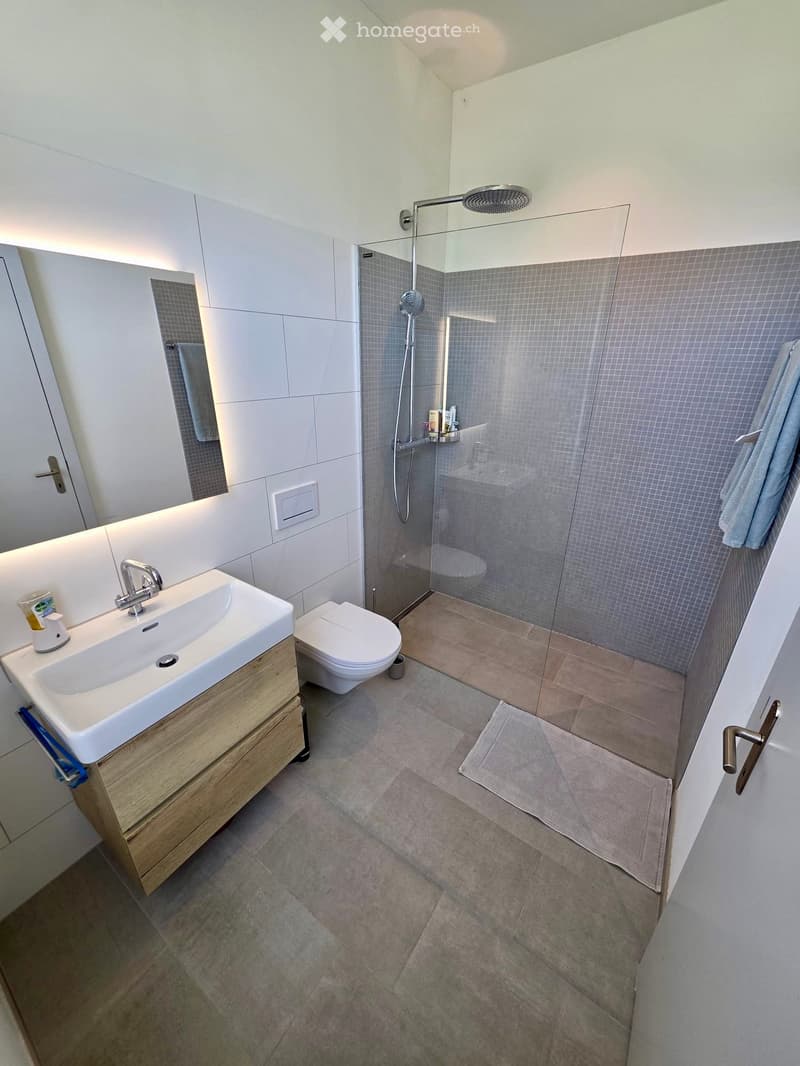 Modern bathroom with a white sink, wooden cabinet, toilet, glass-enclosed shower, and a large mirror. The shower has a handheld sprayer and a built-in shelf. The floor is tiled, and towels are neatly placed on the floor and a rack.