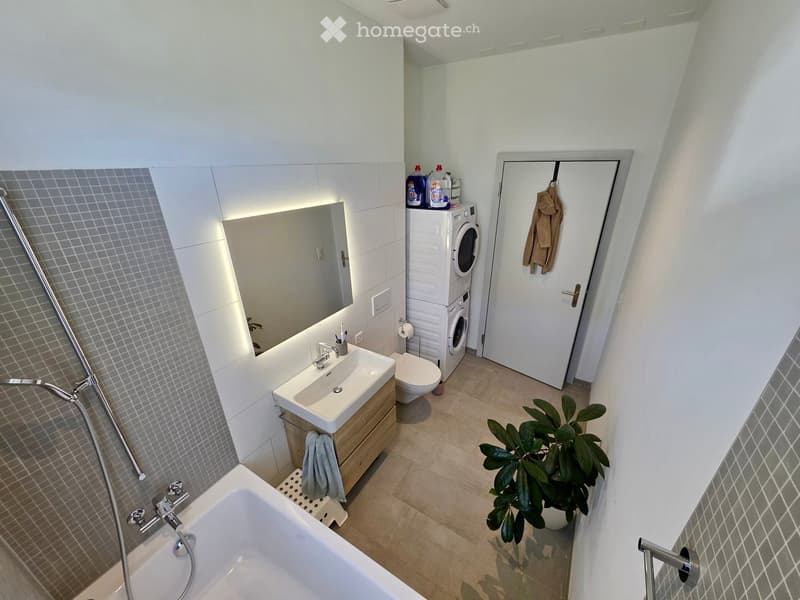 Modern bathroom with a bathtub, sink, toilet, mirror, washing machine, and a small plant in the corner.