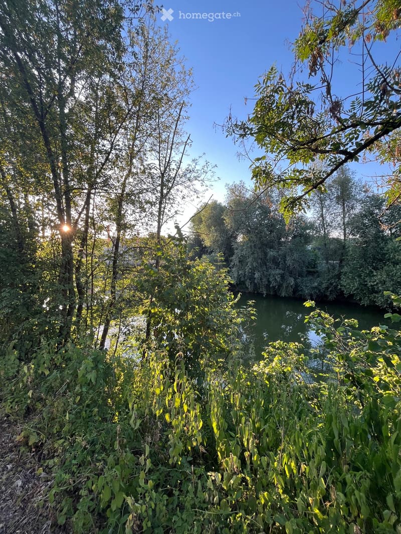 A lush garden area with dense green foliage, trees, and a small body of water reflecting the sunlight.