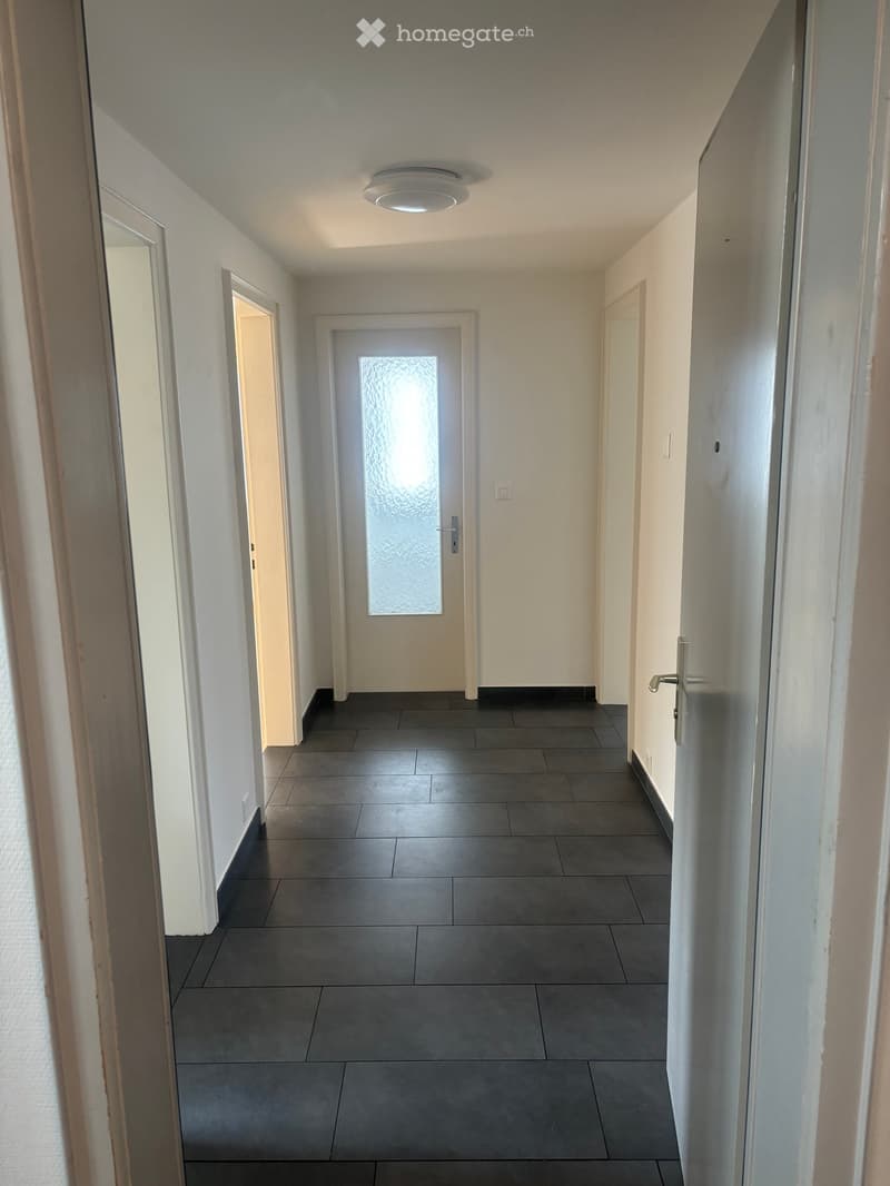 Empty hallway with dark tiled floor, white walls, and several doors including a frosted glass door.