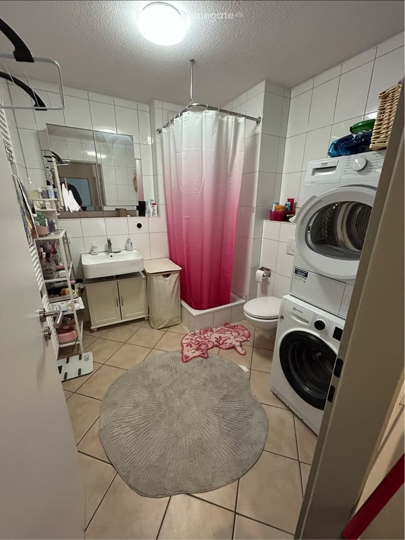Bathroom with a sink, mirror, toilet, shower with a pink curtain, washing machine, round rug, and a small cabinet. The walls are tiled, and there is a shower rack with various items.