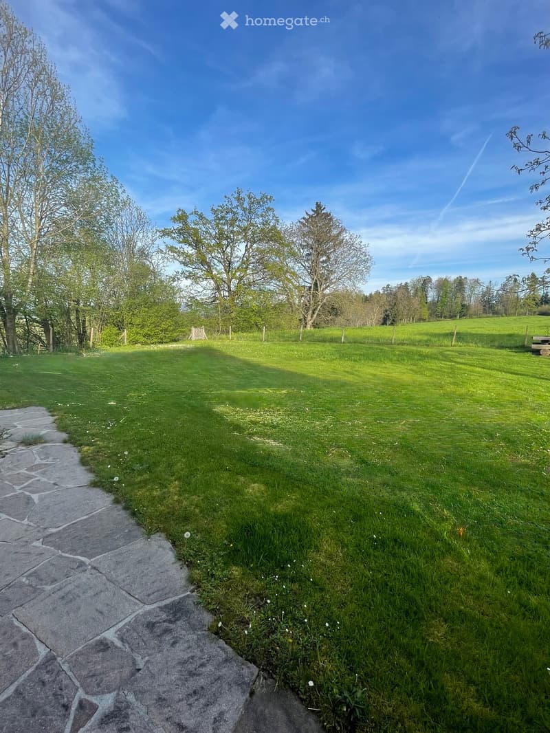 A well-maintained lawn with a stone pathway leading through a rural setting, surrounded by trees and open fields under a clear blue sky.