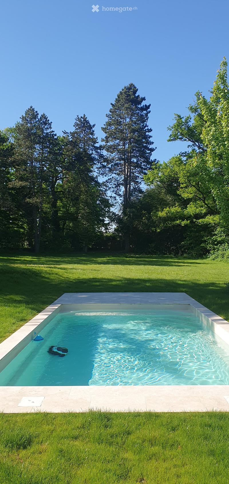 A rectangular swimming pool with clear blue water, surrounded by a tiled deck and lush green grass, set in a serene garden with tall trees.