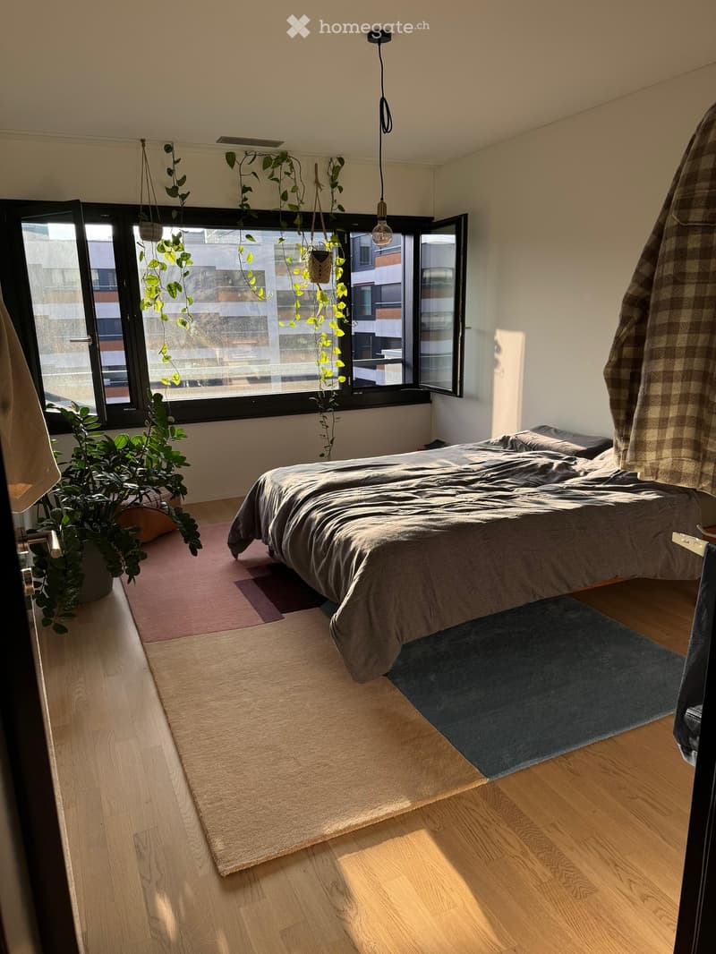 Modern bedroom with wooden flooring, large window with hanging plants, bed with grey bedding, and two rugs on the floor.