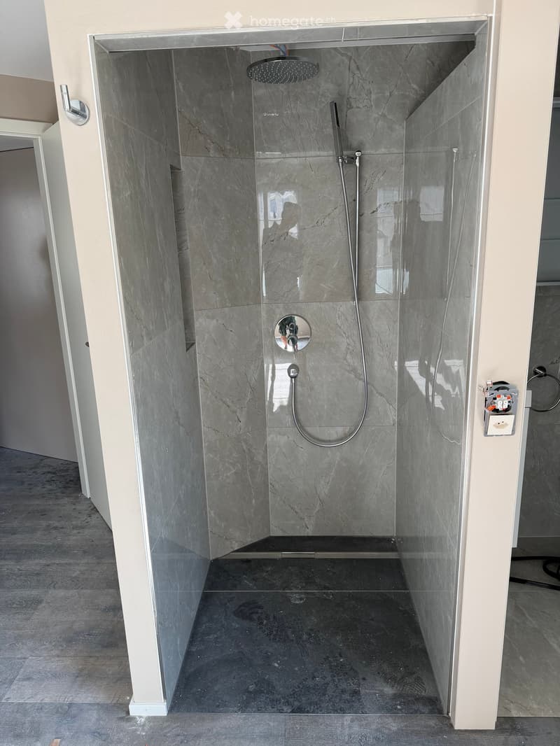 Modern shower area with marble tiles, glass enclosure, and a handheld showerhead.