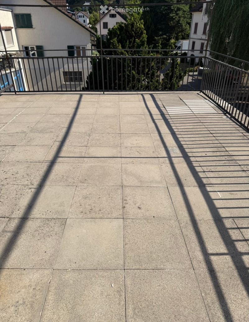Empty balcony with concrete floor and metal railing, overlooking a residential area with trees and houses.