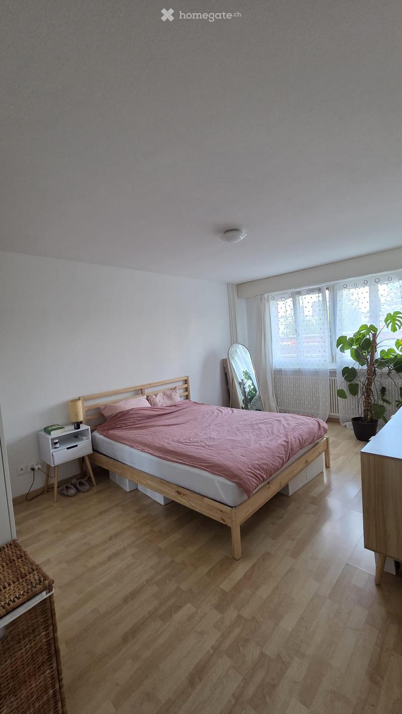 Cozy bedroom with wooden flooring, a bed with pink bedding, a nightstand with a lamp, a large mirror, and a potted plant near the window.