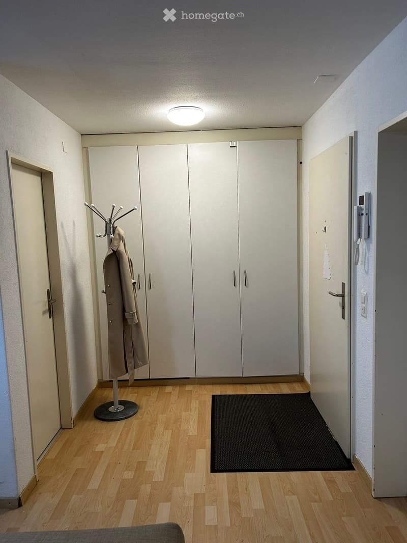 A clean, well-lit hallway with wooden flooring, white walls, built-in white closet units, a coat rack with a coat, a black doormat, and a light fixture on the ceiling.