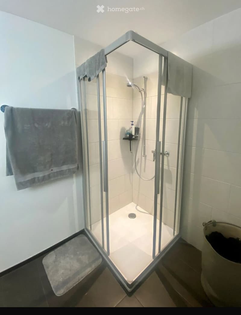 Modern bathroom with a glass-enclosed shower, tiled walls, and towels hanging on the sides.