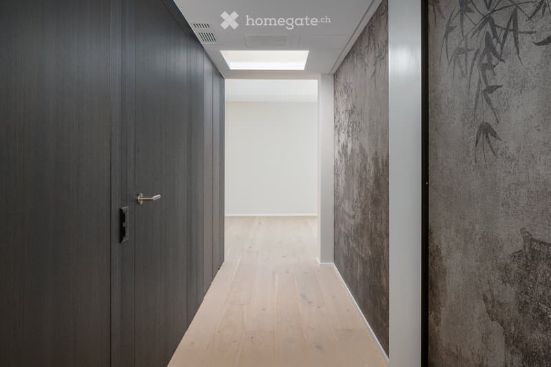 Modern hallway with light wooden flooring, dark wooden paneling on one side, and textured wall art on the other. Features recessed ceiling lighting and a skylight at the far end.