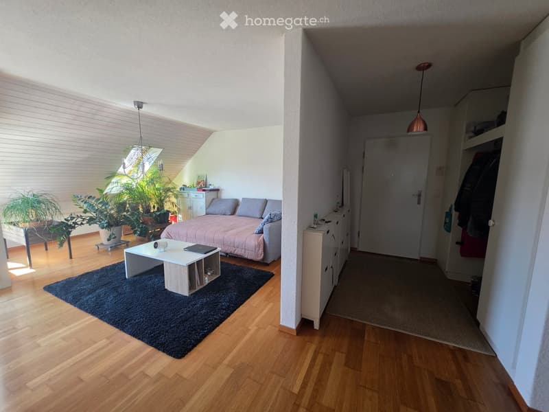 Bright, modern living space with wooden flooring, a sofa, coffee table, laptop, potted plants, and a small cabinet.
