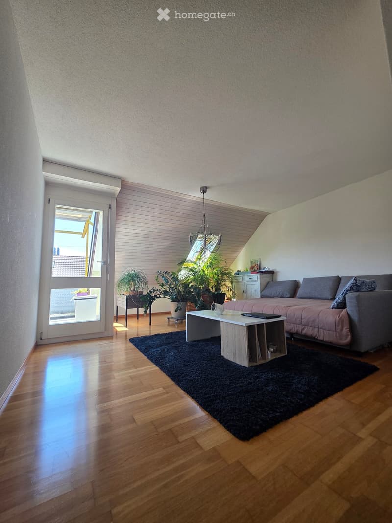 Modern living room with wooden flooring, grey sofa, coffee table, laptop, floor lamp, and potted plants near the window.