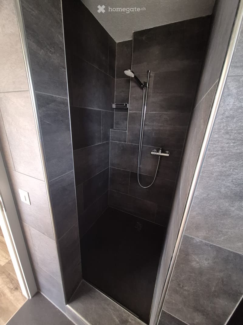 Modern shower area with dark grey tiles, a handheld showerhead, and a built-in shelf.