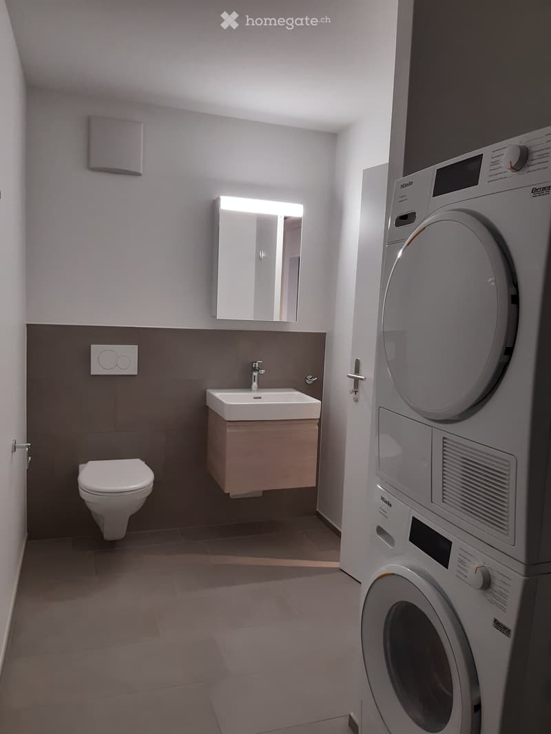 Modern bathroom with a toilet, sink, mirror, and a washing machine. The walls are painted in neutral tones with a dark lower section.