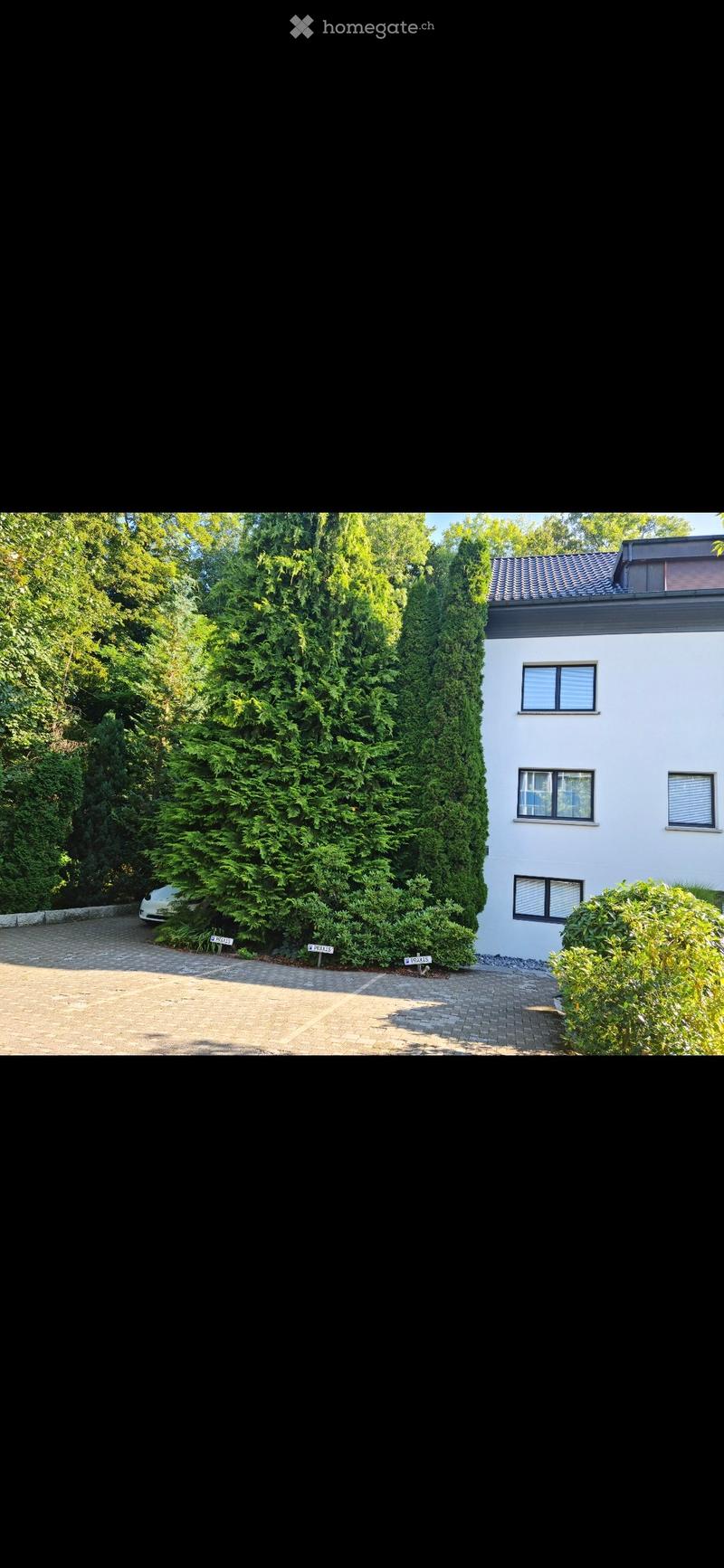 Modern white house with multiple windows, surrounded by tall green trees and shrubs, with a paved driveway and a parked car.