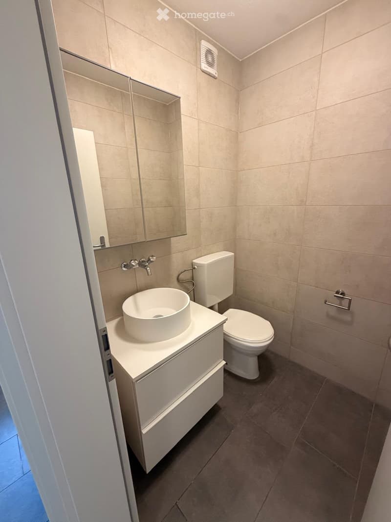 Modern bathroom with a white sink, toilet, and mirrored cabinet. Beige tiles on walls and dark tiles on the floor.