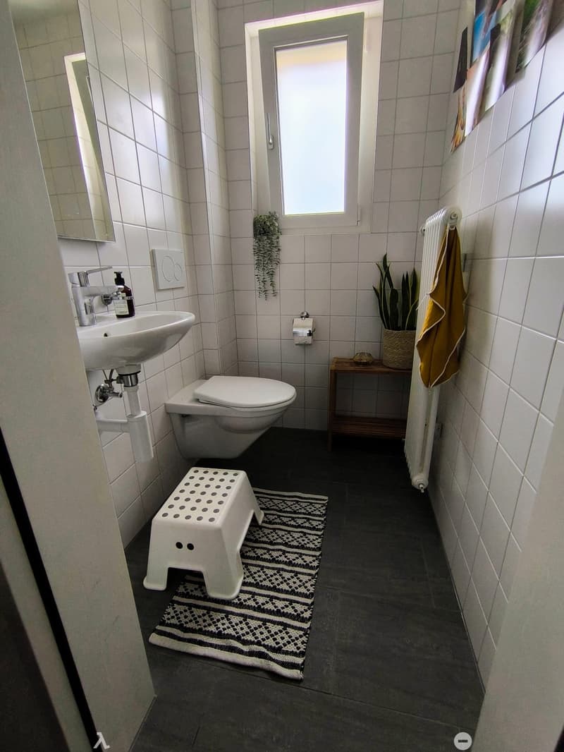 Modern bathroom with white tiles, a sink, toilet, small stool, radiator, towel, plant, and a patterned rug.
