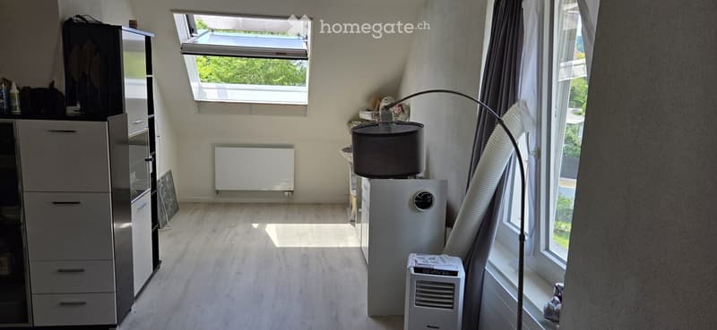 Bright room with wooden flooring, large windows, cabinet, radiator, air conditioner, floor lamp, and mirror.