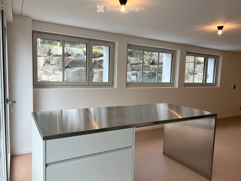 Modern kitchen with stainless steel countertop, white cabinets, and large windows overlooking a rocky outdoor area.