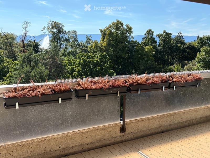 Spacious 4.5-Room Apartment with Balcony and Stunning Views facing Parc La Grange (1)