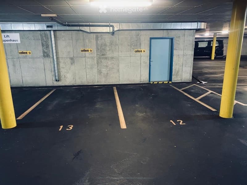 Underground parking area with marked parking spaces, concrete walls, yellow support columns, and a blue door leading to another area.