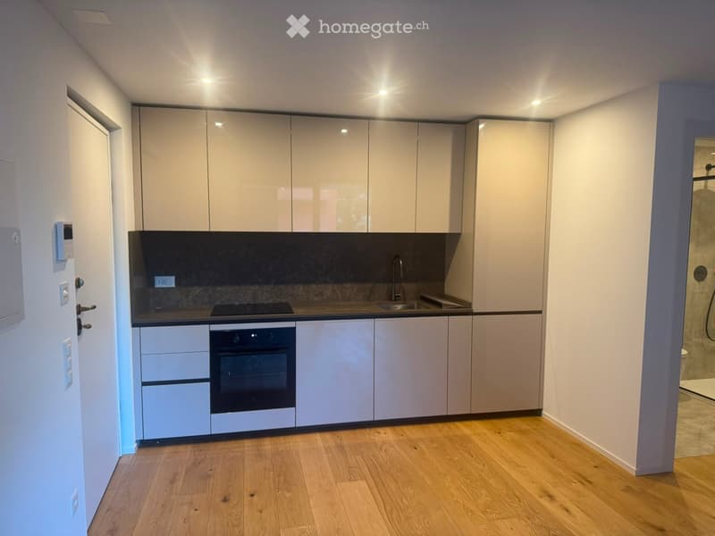 Modern kitchen with light-colored cabinets, a sink, a stove, and an oven, featuring wooden flooring and recessed lighting.