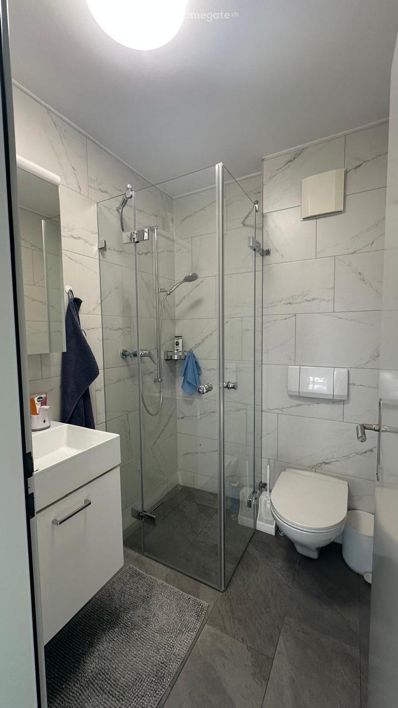 Modern bathroom with marble tiles, glass-enclosed shower, toilet, sink, and towel. Features a sleek design with a round ceiling light and a small rug on the floor.
