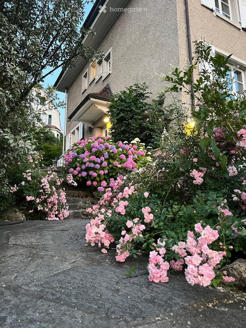 Raised ground floor, steps leading to entrance, pink flower garden in front of house