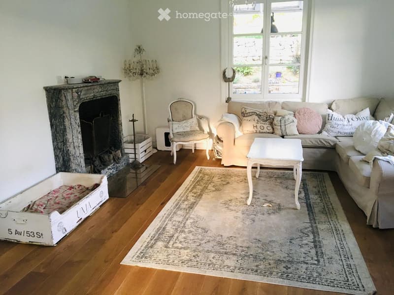 Living room: fireplace, couch, armchair, coffee table, rug, dog bed, rug, chandelier