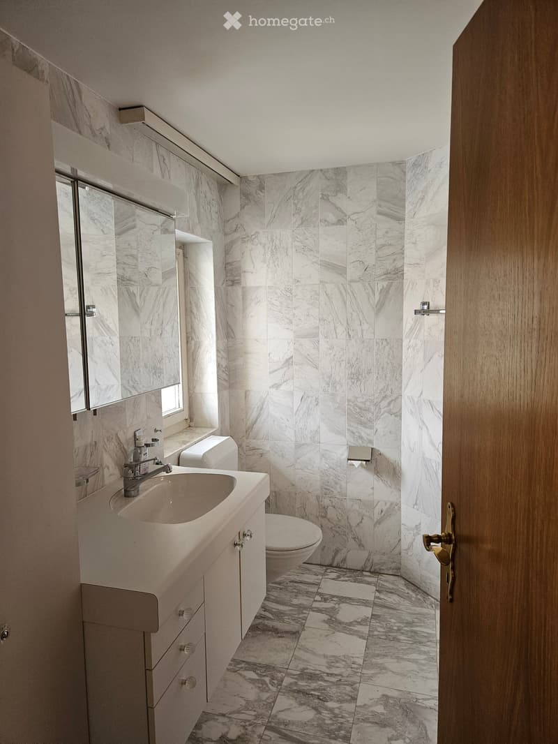 Modern bathroom with marble tiles, a white sink, a toilet, and a mirrored cabinet.