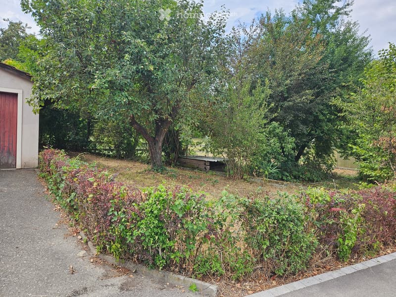 Garden area with trees, shrubs, and a small shed with a red door.