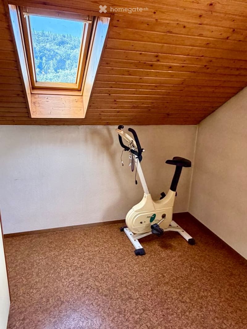 Small room with wooden ceiling, carpeted floor, and a single exercise bike positioned against the wall. A skylight window offers a view of trees.
