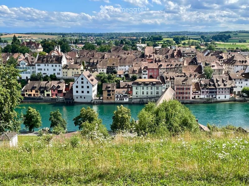 A picturesque town with traditional European architecture, featuring colorful buildings with pitched roofs along a riverbank.