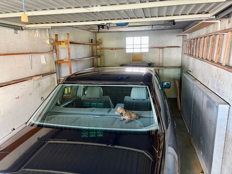 {"visible_features": ["Garage"], "type": "Garage", "objects": [], "description": "Garage with a parked car, wooden shelves, and a small dog sitting on the hood of the car.", "localized_descriptions": {"EN": "Garage with a parked car, wooden shelves, and a