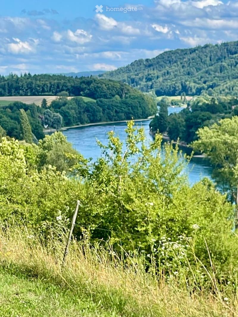 Scenic view of a river valley with lush greenery, hills, and a clear blue sky.