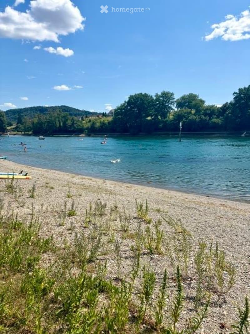 A sandy beach with people swimming and kayaking in the water, surrounded by trees and hills under a clear blue sky.