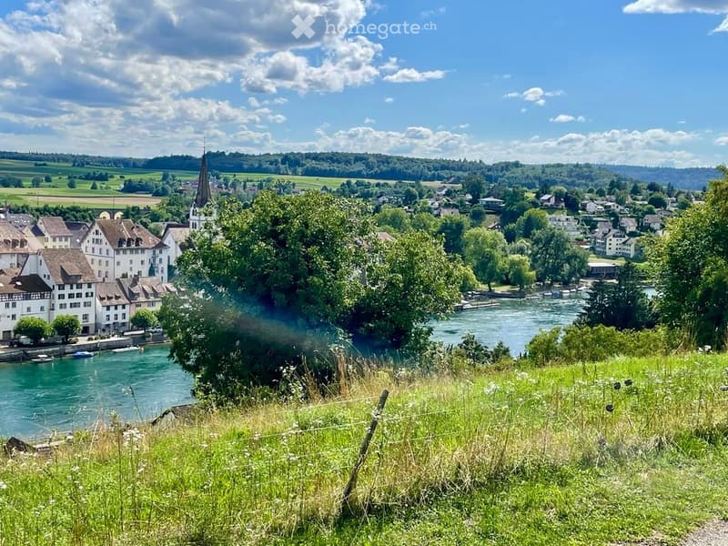 Scenic view of a town with a river, houses, and a church tower, surrounded by green fields and trees.
