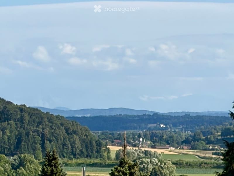 A panoramic view of a rural landscape with rolling hills, fields, and scattered trees under a clear blue sky.